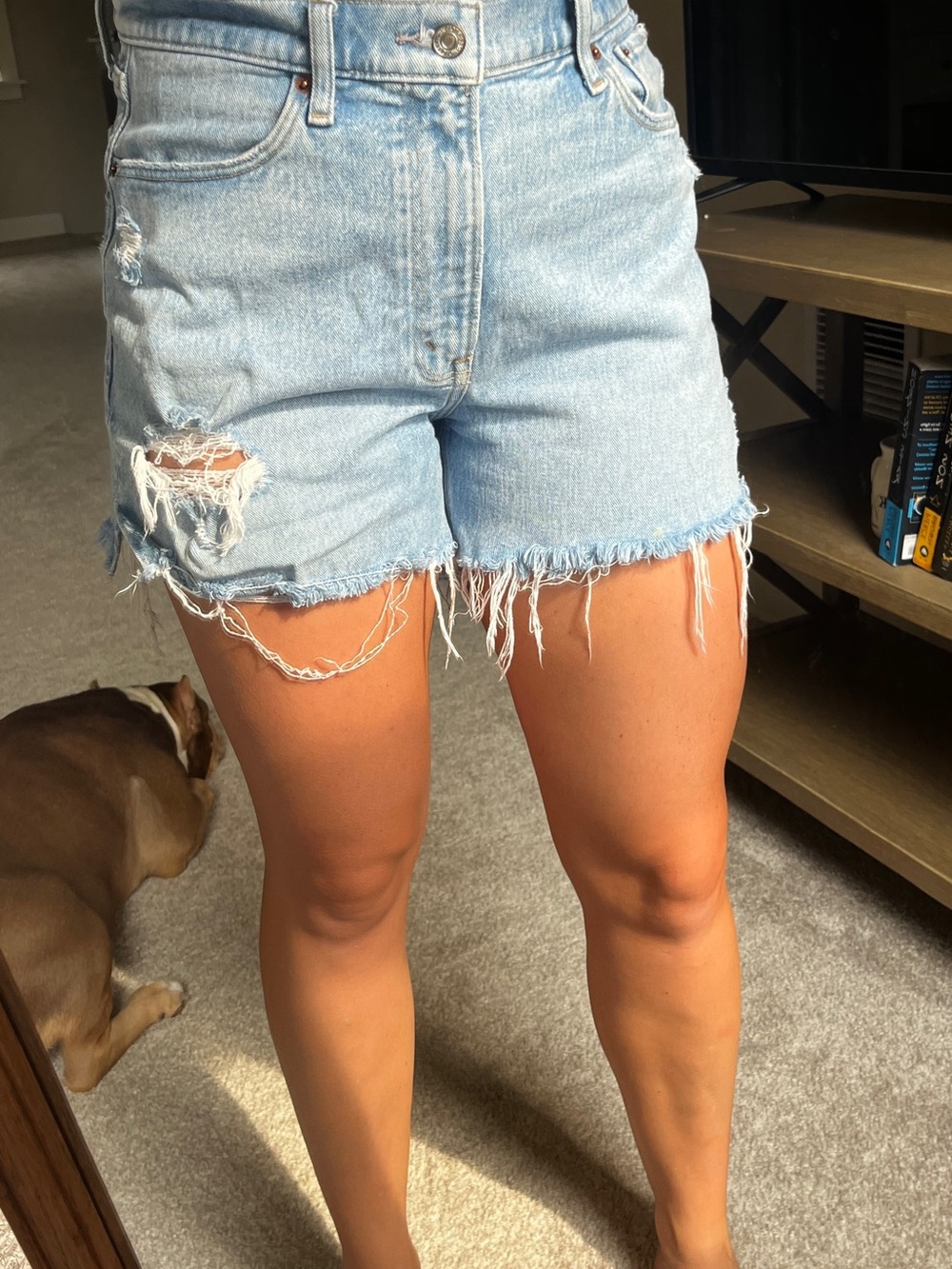 Abercrombie & Fitch Light Blue Distressed Denim Cutoff Shorts